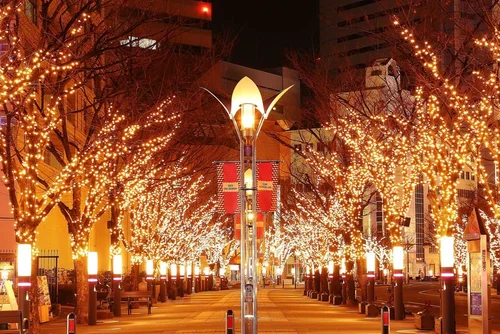 冬のイルミネーション、並木通り