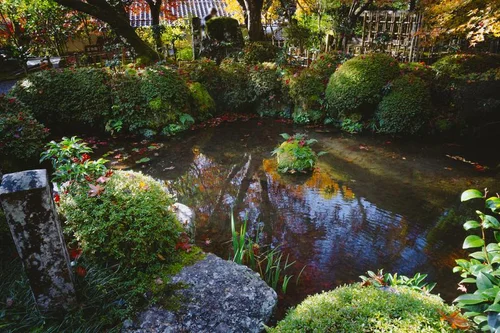 緑に囲まれた庭園